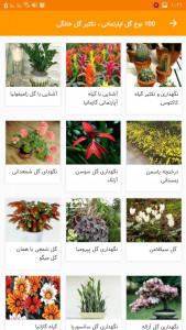 اسکرین شات برنامه 100 نوع گل اپارتمانی ، تکثیر گل خانگی 4