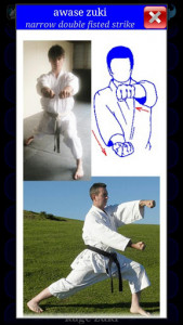 اسکرین شات برنامه Karate WKF 4