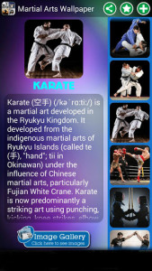 اسکرین شات برنامه Martial Arts Wallpaper 5