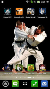 اسکرین شات برنامه Martial Arts Wallpaper 1