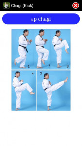 اسکرین شات برنامه Taekwondo ITF 8