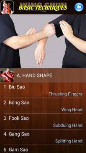 اسکرین شات برنامه Wing Chun Kung Fu 2