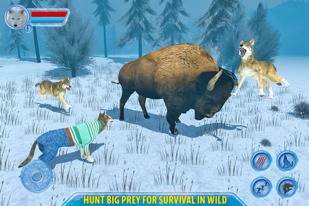 اسکرین شات بازی Arctic Wolf Sim 3D 4