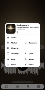 اسکرین شات برنامه Poweramp Music Player (Trial) 2