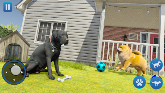 اسکرین شات 2 بازی Dog Sim Pet Simulator Dog Life