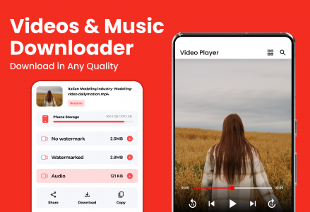 اسکرین شات برنامه All video downloader - Anysave 2