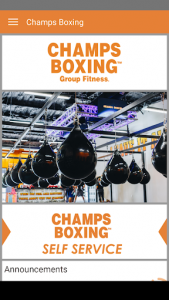 اسکرین شات برنامه CHAMPS Boxing 2