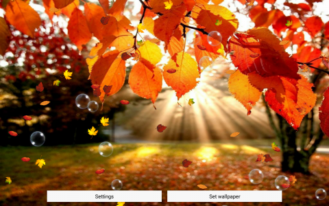 اسکرین شات برنامه Autumn Live Wallpaper Free 5