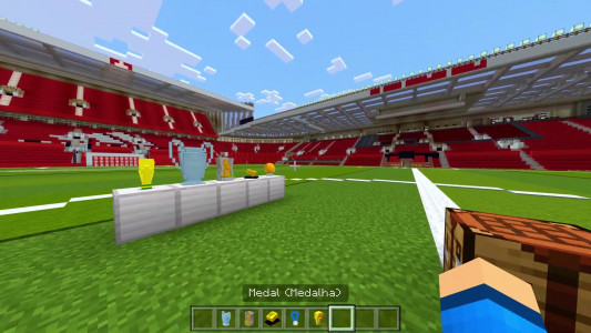 اسکرین شات برنامه Soccer mod in Minecraft 5