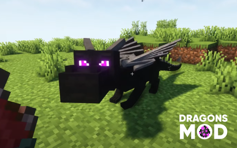 اسکرین شات 5 برنامه Pet Dragon Minecraft Mod 2023