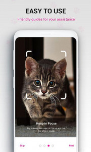 اسکرین شات برنامه Cat Breed Identifier : Kitten  8