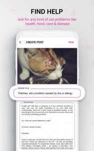 اسکرین شات برنامه Cat Breed Identifier : Kitten  5