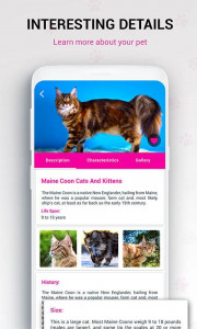 اسکرین شات برنامه Cat Breed Identifier : Kitten  4