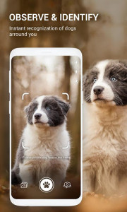 اسکرین شات برنامه Dog Bread Identifier: Dog Scanner by photo, camera 1