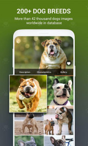 اسکرین شات برنامه Dog Bread Identifier: Dog Scanner by photo, camera 5