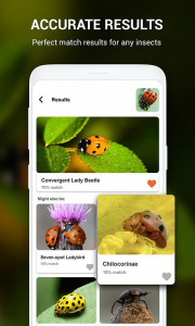 اسکرین شات برنامه Insect identifier App by Photo, Camera 2021 5