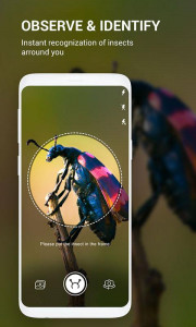 اسکرین شات برنامه Insect identifier App by Photo, Camera 2021 1