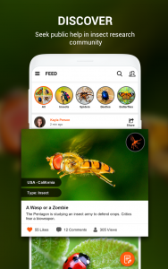 اسکرین شات برنامه Insect identifier App by Photo, Camera 2021 2