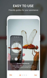 اسکرین شات برنامه Insect identifier App by Photo, Camera 2021 4