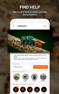 اسکرین شات برنامه Insect identifier App by Photo, Camera 2021 7