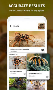 اسکرین شات برنامه Spiders identifier App by Photo, Camera 2020 6