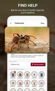 اسکرین شات برنامه Spiders identifier App by Photo, Camera 2020 4