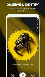 اسکرین شات برنامه Spiders identifier App by Photo, Camera 2020 1