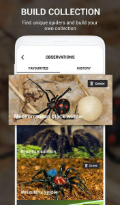 اسکرین شات برنامه Spiders identifier App by Photo, Camera 2020 7