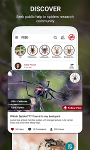 اسکرین شات برنامه Spiders identifier App by Photo, Camera 2020 2