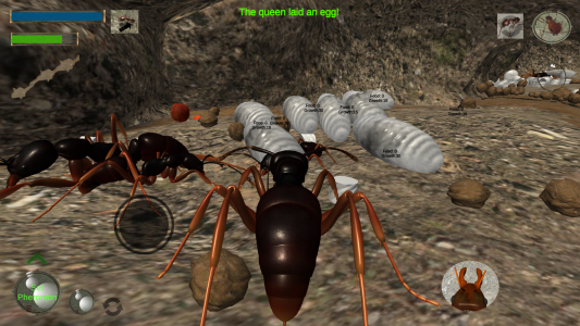 اسکرین شات بازی Ant Simulation 3D 3