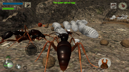 اسکرین شات بازی Ant Simulation 3D - Insect Sur 3
