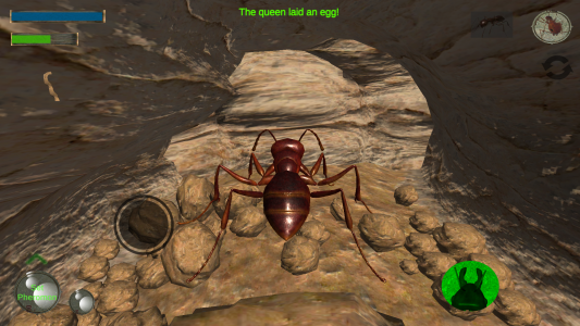 اسکرین شات بازی Ant Simulation 3D 6