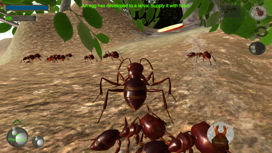 اسکرین شات بازی Ant Simulation 3D 2