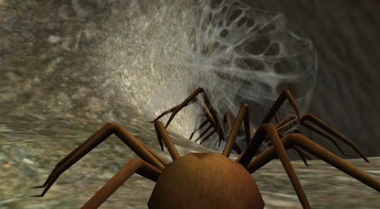 اسکرین شات بازی Spider Nest Simulator - insect and 3d animal game 4