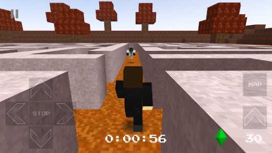 اسکرین شات بازی Pixel Labyrinth 8