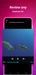 اسکرین شات 4 برنامه Duplicate Files Remover