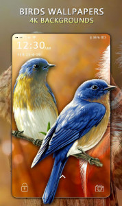 اسکرین شات برنامه Beauty Birds Live Wallpaper&Themes- HD Bird Images 7