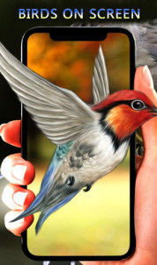 اسکرین شات برنامه Beauty Birds Live Wallpaper&Themes- HD Bird Images 3