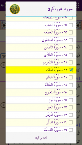 اسکرین شات برنامه Quran in Pashto 7