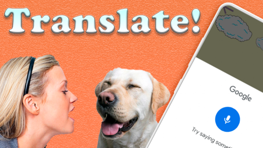 اسکرین شات برنامه iDog: Dog Translator 2