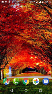 اسکرین شات برنامه Autumn Wallpaper HD 1