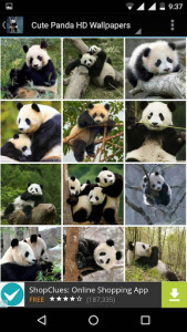 اسکرین شات برنامه Cute Panda Wallpapers HD 3