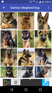 اسکرین شات برنامه German Shepherd Dog Wallpapers 7