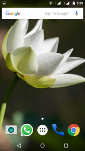 اسکرین شات برنامه Lotus Flower Wallpaper HD 8