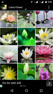اسکرین شات برنامه Lotus Flower Wallpaper HD 7