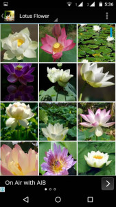 اسکرین شات برنامه Lotus Flower Wallpaper HD 3