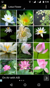اسکرین شات برنامه Lotus Flower Wallpaper HD 5