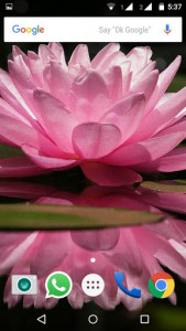 اسکرین شات برنامه Lotus Flower Wallpaper HD 6