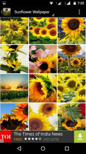 اسکرین شات برنامه Sunflower Wallpaper HD 7