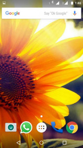 اسکرین شات برنامه Sunflower Wallpaper HD 2